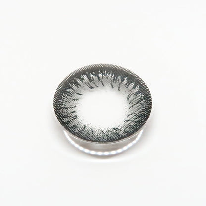 Charcoal Doll | M1624 - Japan colored contacts NEOVISION(N) DALI Extra Ⅱ GRAY for astigmatism / 1624