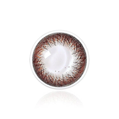 Cocoa Tart | M1241 - Japan colored contacts BS(N) B312 brown /928