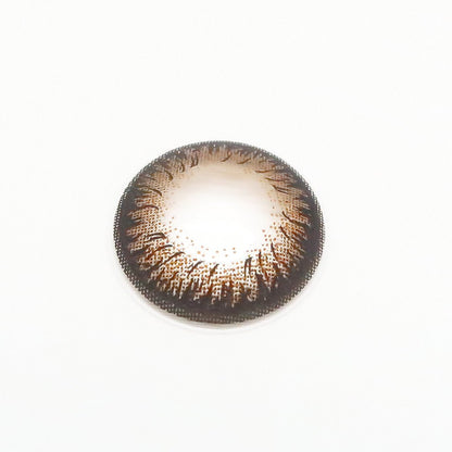 Espresso Tart colored contacts for Astigmatism ｜ M1623 - My ToricNEOVISION(N) DALI Extra Ⅱ BROWN 난시용/ 1623