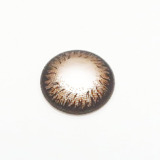 Espresso Tart colored contacts for Astigmatism ｜ M1623 - My ToricNEOVISION(N) DALI Extra Ⅱ BROWN 난시용/ 1623