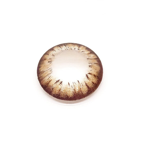 Maple Choco for astigmatism | M1270 - Japan colored contacts BS(N) / A132 Choco toric /1270