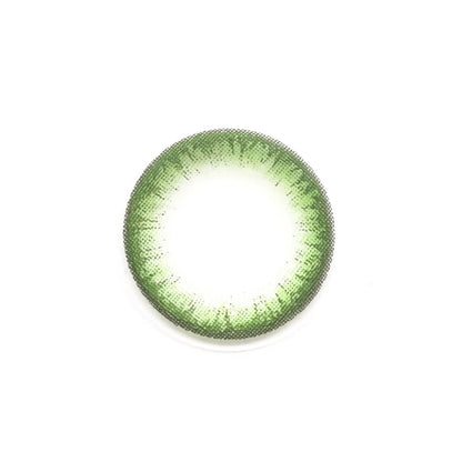Muscat Jelly colored contacts for Astigmatism | M1277 - My ToricBS(N) / JeJe Green toric /1277