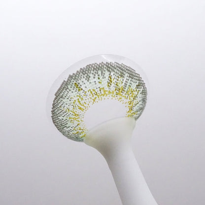 Pistachio Tart colored contacts for Astigmatism | M1426 - My ToricBS(N) / OCHO GREEN toric / 1426