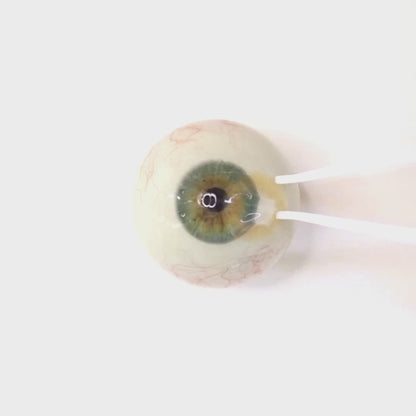 Mellow Hazel for astigmatism | M1692