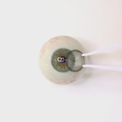 Crystal Snow for astigmatism | M1663