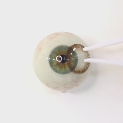 Chocolate Tart for Astigmatism | M1437