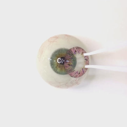 Twilight Berry for astigmatism | M1290