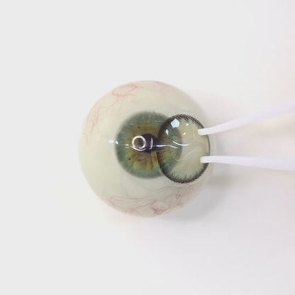 Olive Chiffon for Farsightedness ｜ F1628