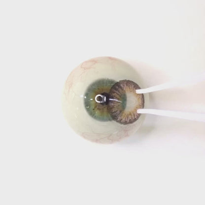 Peach Ganache for Astigmatism | M1425
