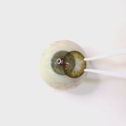 Honey Syrup for Astigmatism | M1279