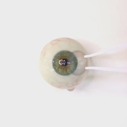 Unicorn Tear for astigmatism | M1697