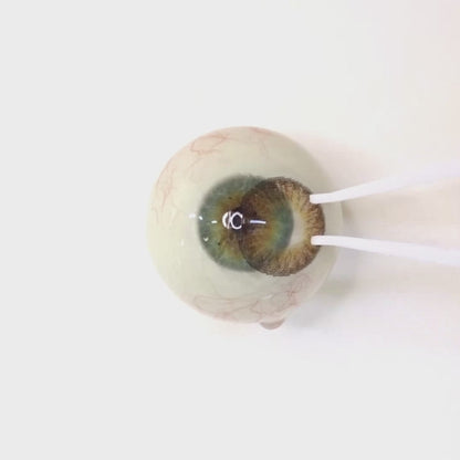 Honey Souffle for Astigmatism | M1428