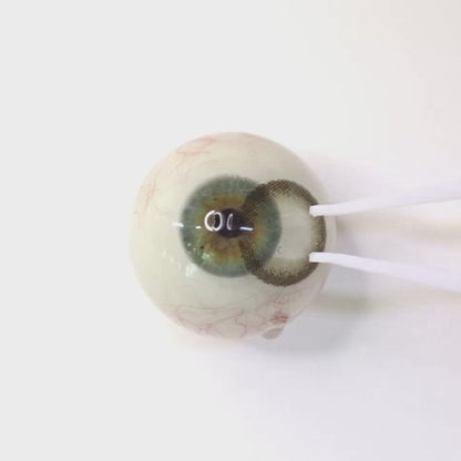Ashy Bloom for Farsightedness | F928