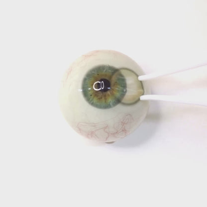 Ivory Mousse for Astigmatism | M1891