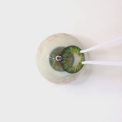 Lime Mojito for Astigmatism ｜M1283