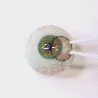 Spicy Amber for Farsightedness | F1553