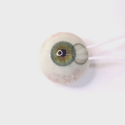 Sheer Gray For astigmatism | M1796