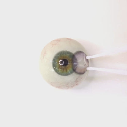 Mauve Tarte for astigmatism ｜ M1699