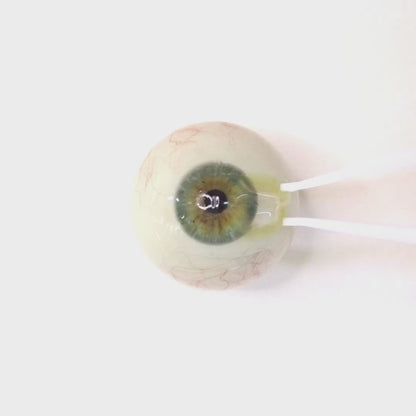 Olive Sherbet for astigmatism ｜ M1694
