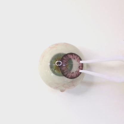 Berry Mousse for Astigmatism | M1271