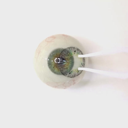 Pistachio Ash for astigmatism | M1289