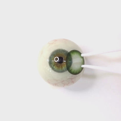 Muscat Jelly for Astigmatism | M1277