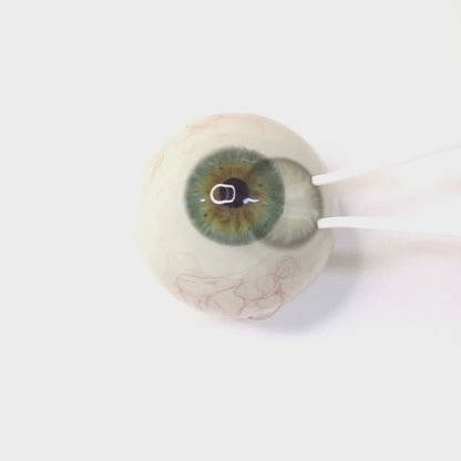 Silver Glint for astigmatism | M1899