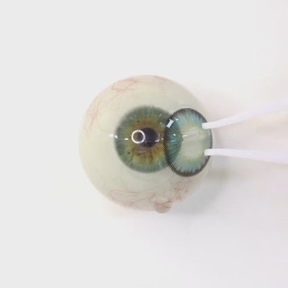 Mint Sherbet for Farsightedness｜ F1630