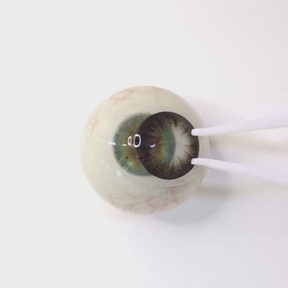 Melty Choco for Astigmatism ・Melty Choco｜ M524