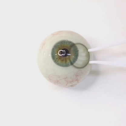 Mint Soda for Astigmatism ｜ M1893