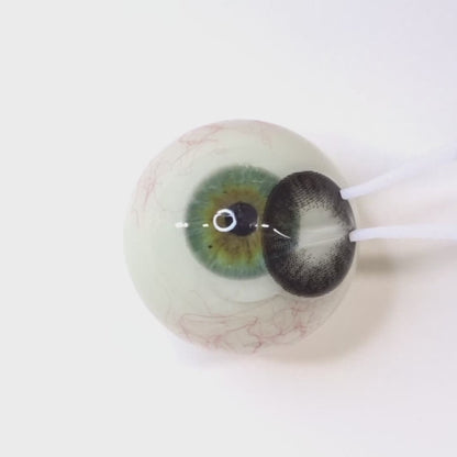 Pure Vail Black for Farsightedness | F291