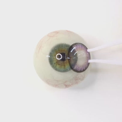 Lilac Chiffon for Farsightedness ｜ F1629