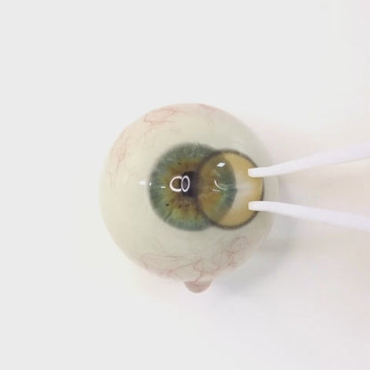 Mellow Cream for astigmatism | M1759
