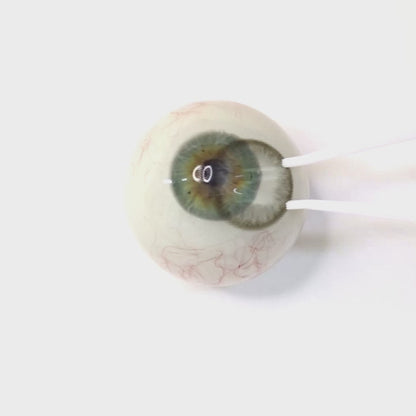 Silver Ganache for Astigmatism ｜ M1804