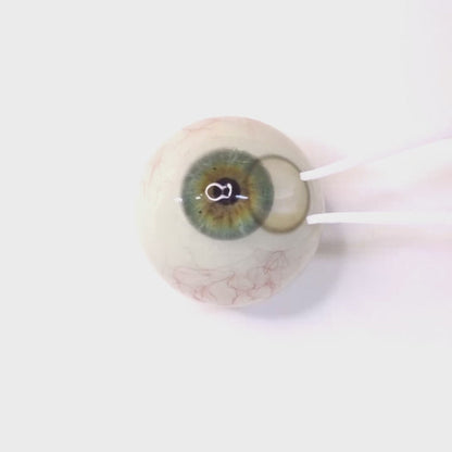 Greige Mousse for Astigmatism ｜ M1794