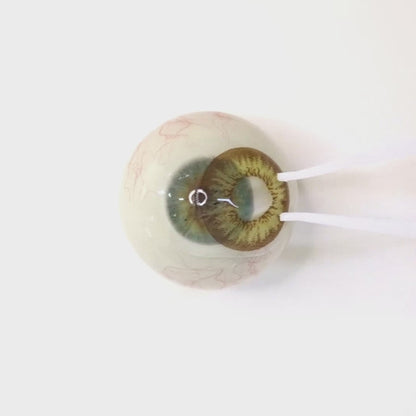 Pistachio Hazel for Astigmatism | M1287