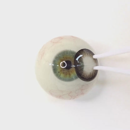 Cocoa Tart for Astigmatism | M1241
