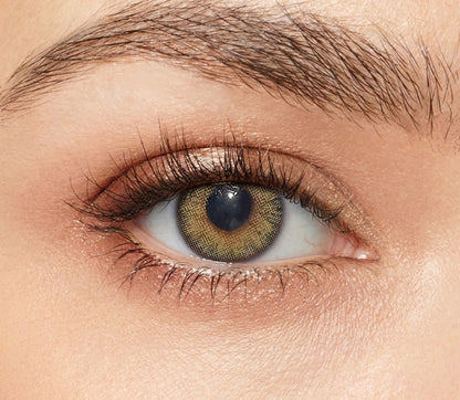 Olive Chiffon for Farsightedness ｜ F1628